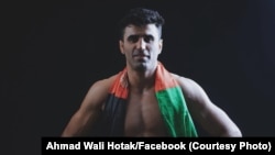 افغان رزمي لوبغاړی احمد ولي هوتک 