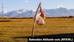 Жайлоо. 