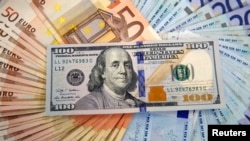Avro və dollar banknotlar
