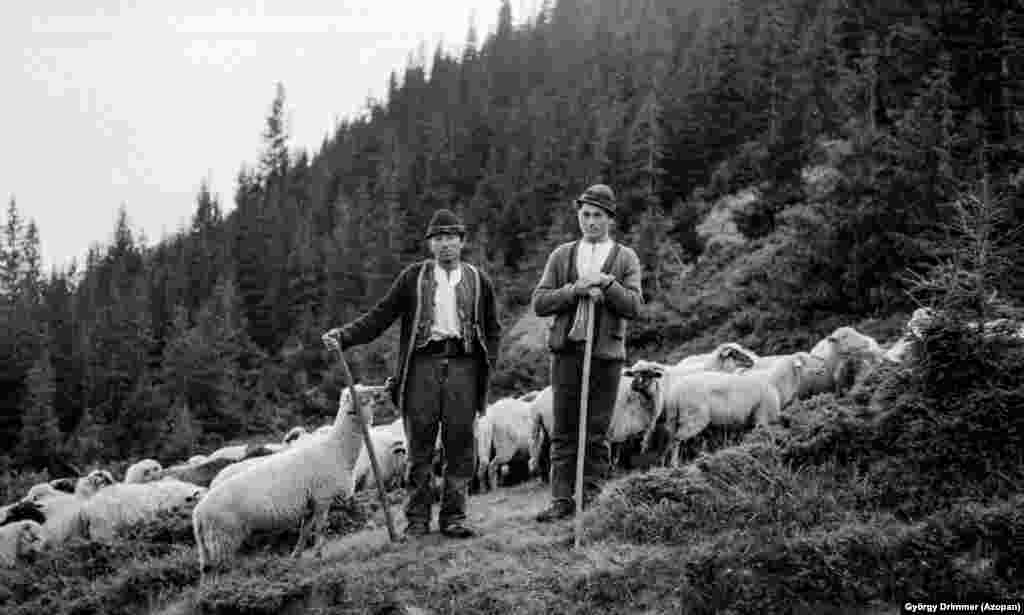 Doi ciobani din Munții Făgăraș, în 1963. Aceasta este doar una dintre cele aproape 13.000 de fotografii analogice care alcătuiesc arhiva foto Azopan. 